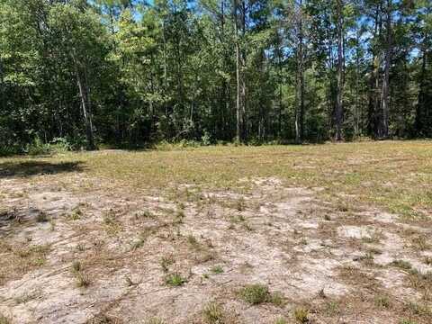 00 Wildgame Road, Summerville, SC 29485