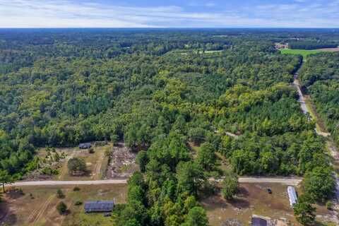 0 New Bridge Road, Nichols, SC 29581