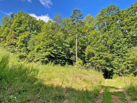 0 Falling Pines Road, Dahlonega, GA 30533