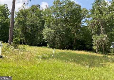 Lot 35 River Ridge, Hawkinsville, GA 31036