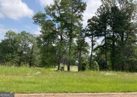 Lot 2 River Ridge, Hawkinsville, GA 31036