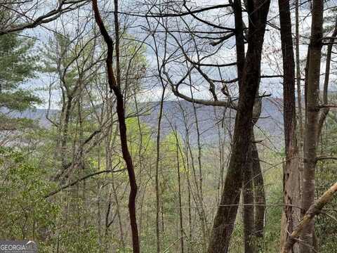 Tract D Harpers Creek, Ellijay, GA 30540