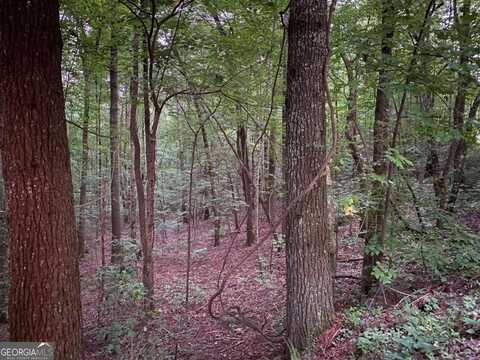 0 Whitecliff, Ellijay, GA 30540