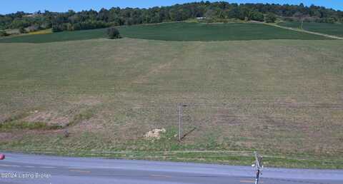 Lot 4 Shrewsbury Rd, Leitchfield, KY 42754