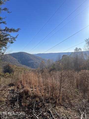 Hatfield Creek Rd, Newcomb, TN 37819