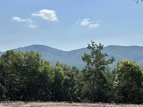 3.86 Acres Harold Witt Rd, Tellico Plains, TN 37385