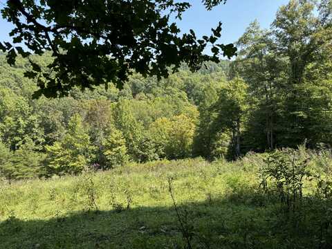 999-1 Big Cave Road, Orlando, KY 40460