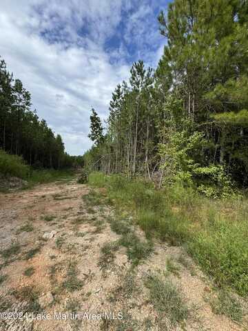 County Road 34 Parcel B, Dadeville, AL 36853