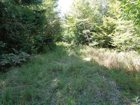 Lot 4 Winkumpaugh Crossing, Orland, ME 04472