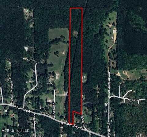 +-20 Acres Monterey Road, Pearl, MS 39208