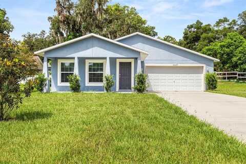 31329 CHURCH STREET, SORRENTO, FL 32776