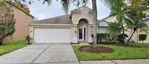 19415 SANDY SPRINGS CIRCLE, LUTZ, FL 33558