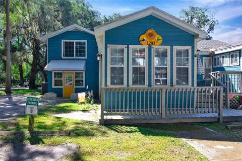 1203 NW 12TH AVENUE, GAINESVILLE, FL 32601