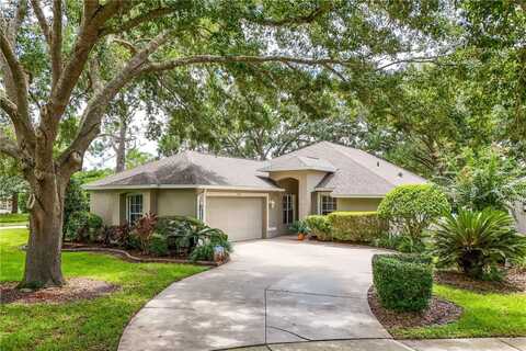 6044 SPRING CREEK COURT, MOUNT DORA, FL 32757