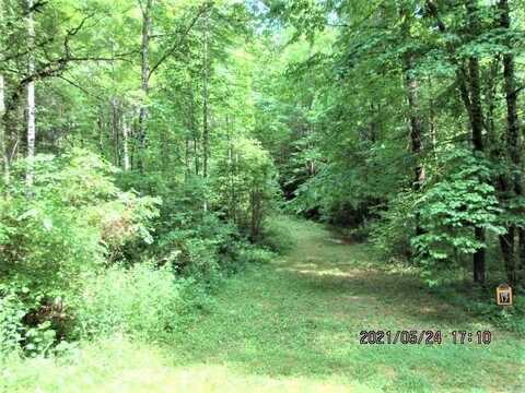 L17 Panther Springs Rd, MURPHY, NC 28906