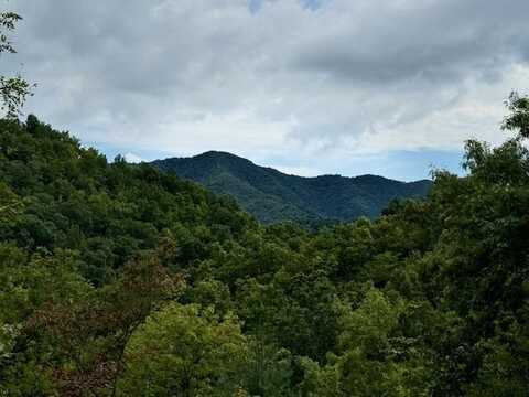 000 Valley View Heights, ANDREWS, NC 28901