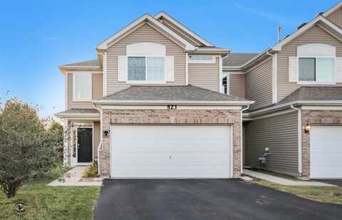 523 Fort Clatsop Court, Joliet, IL 60431