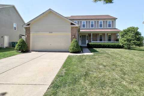 1723 Hidden Oaks Court, Plainfield, IL 60586