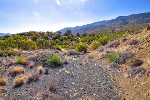 65200 St Pierre Road, Mountain Center, CA 92561