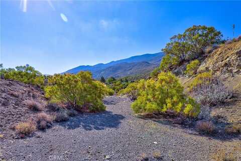 65200 St Pierre Road, Mountain Center, CA 92561