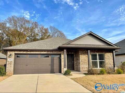 343 Willow Bank Circle, Decatur, AL 35603