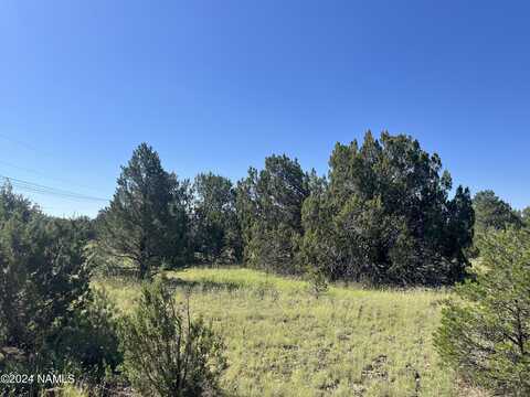 6768 N Isabella Street, Williams, AZ 86046