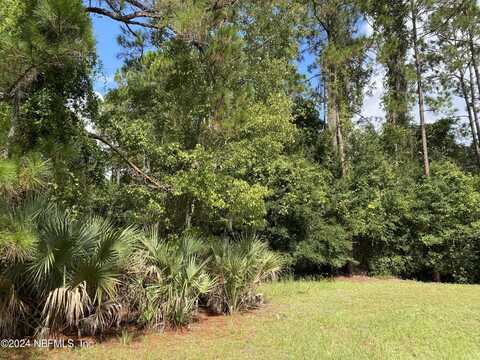 Lot 32 LONE LAUREL Lane, Georgetown, FL 32112