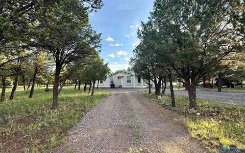 113 Largo Canyon Loop, Quemado, NM 87829