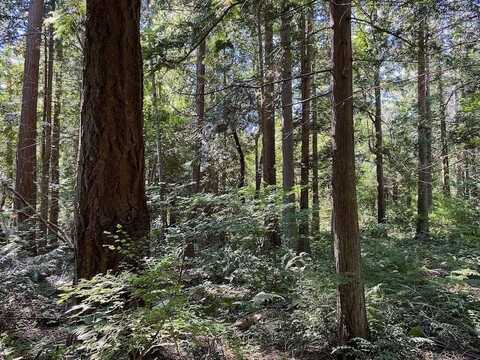 Lot 14 Park Drive, Point Roberts, WA 98281