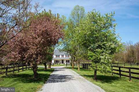 3801 Millwood Rd, Boyce, VA 22620