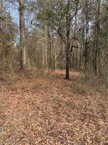 0 Wright Road, Phenix City, AL 36867