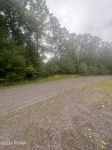 Fox Ridge Park Drive, Lackawaxen, PA 18425