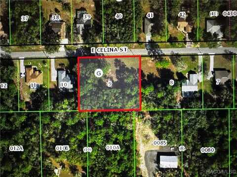 2678 E Celina Street, Inverness, FL 34453