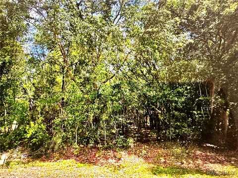 2678 E Celina Street, Inverness, FL 34453