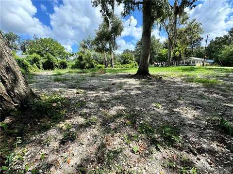 4864 S Whitetail Terrace, Floral City, FL 34436