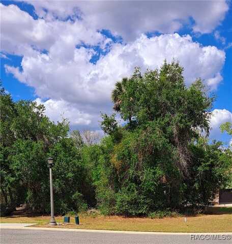 470 W Cobblestone Loop, Hernando, FL 34442