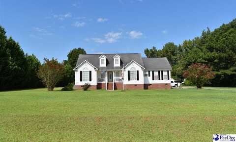 1315 Big Swamp Road, Pamplico, SC 29583