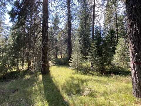 3-E-49 Red Fir Rd, McCloud, CA 96057