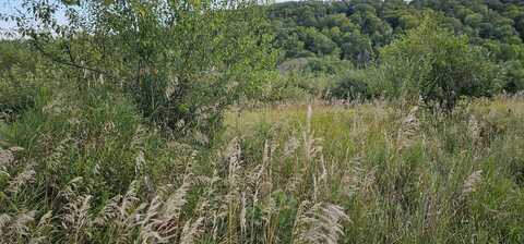 Lot 108 White Flagg Lane, La Valle, WI 53941