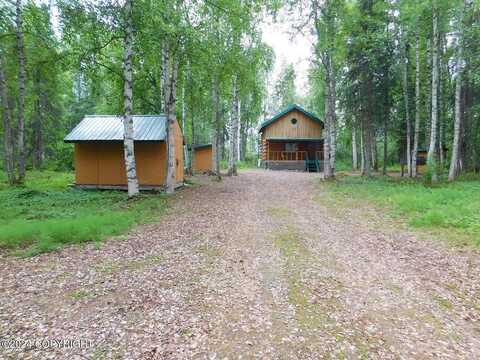 Denali View Drive, Willow, AK 99688