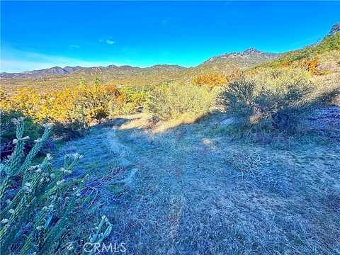 Camino Ortega, Warner Springs, CA 92086