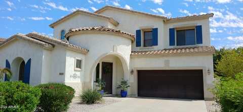 Moccasin, GILBERT, AZ 85298