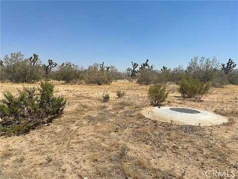 56569 29 Palms, Yucca Valley, CA 92284