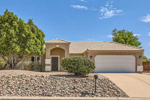 Alamosa, FOUNTAIN HILLS, AZ 85268