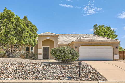 Alamosa, FOUNTAIN HILLS, AZ 85268