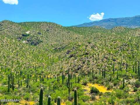 E Redington Rd 13.7 Acres, Tucson, AZ 85741