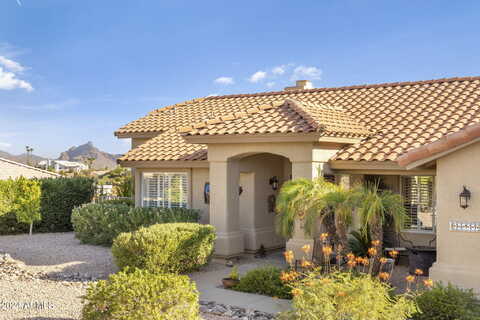 Brodiea, FOUNTAIN HILLS, AZ 85268