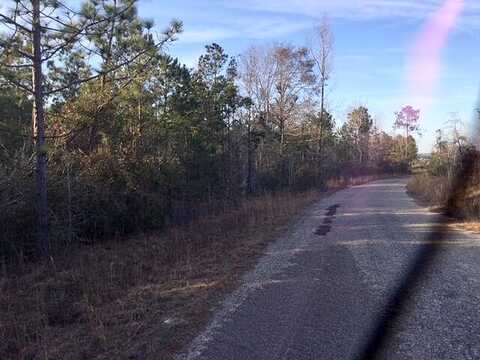 South County Line Rd, Lumberton, MS 39455