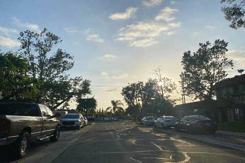 Pepper Tree, ANAHEIM, CA 92801