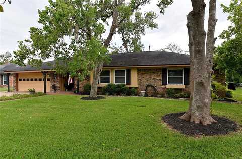 Larkspur, LAKE JACKSON, TX 77566